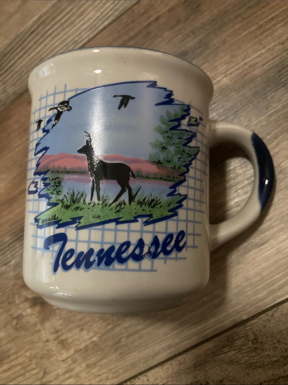 Tennessee Nature State Facts Coffee Tea Mug Cup Souvenir
